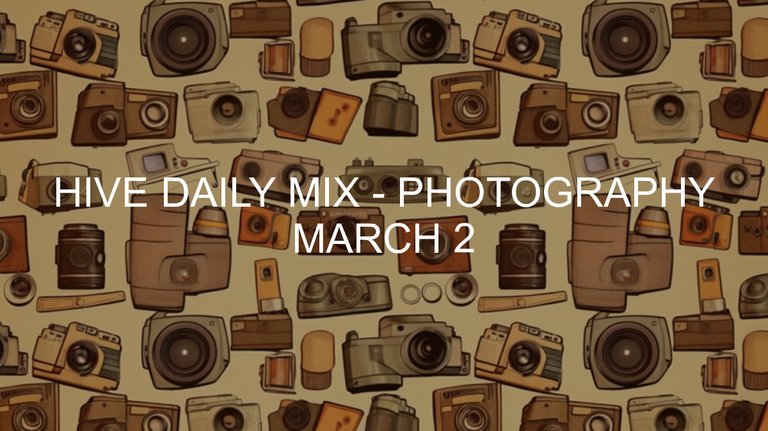 March 2