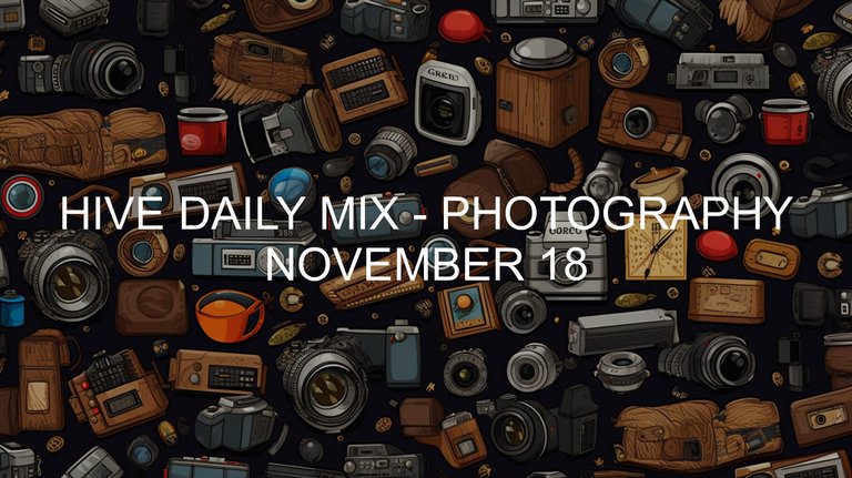 November 18