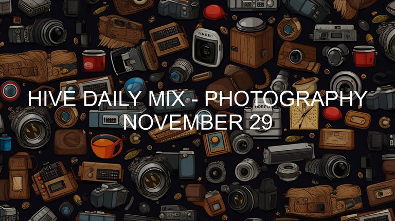 November 29