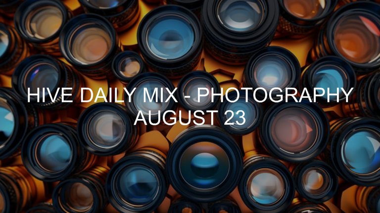 August 23