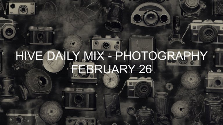 February 26