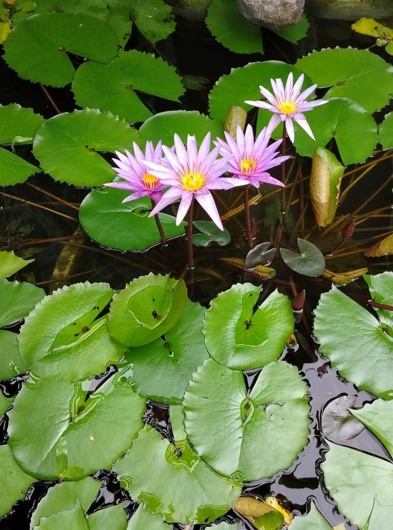 WhatsApp Image 2025-12-12 at 12.51.48 (3).jpeg