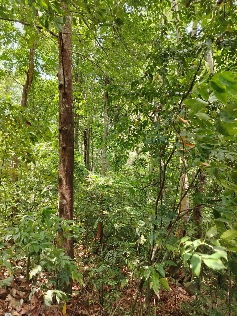 WhatsApp Image 2025-11-04 at 08.50.32 (1).jpeg