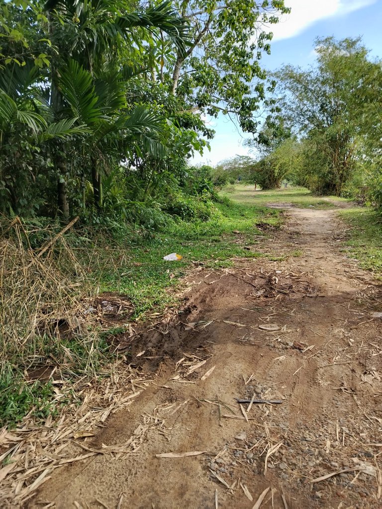 WhatsApp Image 2025-11-22 at 22.57.42.jpeg