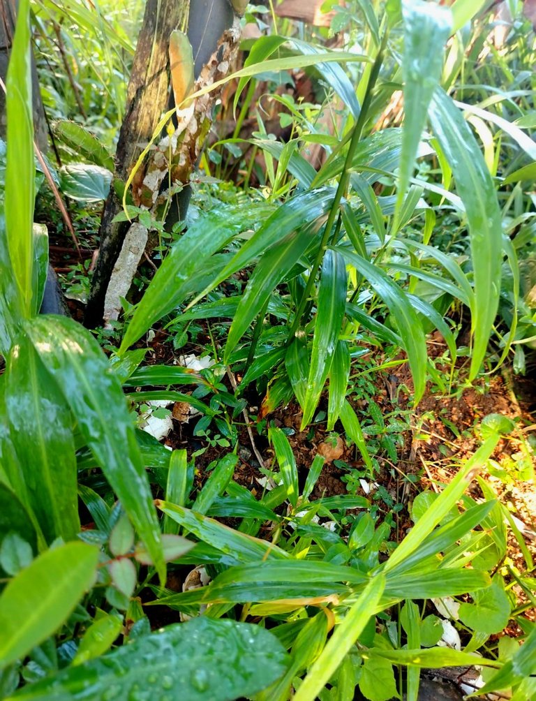 WhatsApp Image 2025-12-08 at 10.43.20 (1).jpeg