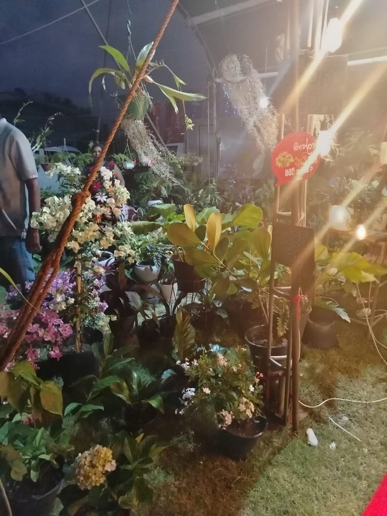 WhatsApp Image 2025-11-08 at 11.01.04 (1).jpeg