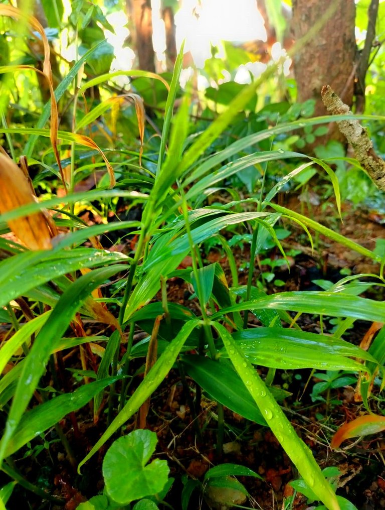 WhatsApp Image 2025-12-08 at 10.43.21 (3).jpeg