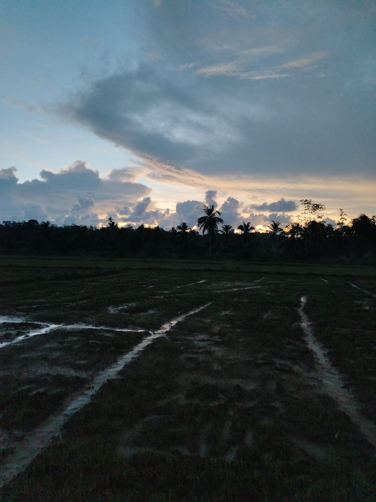 WhatsApp Image 2025-11-22 at 22.57.38.jpeg