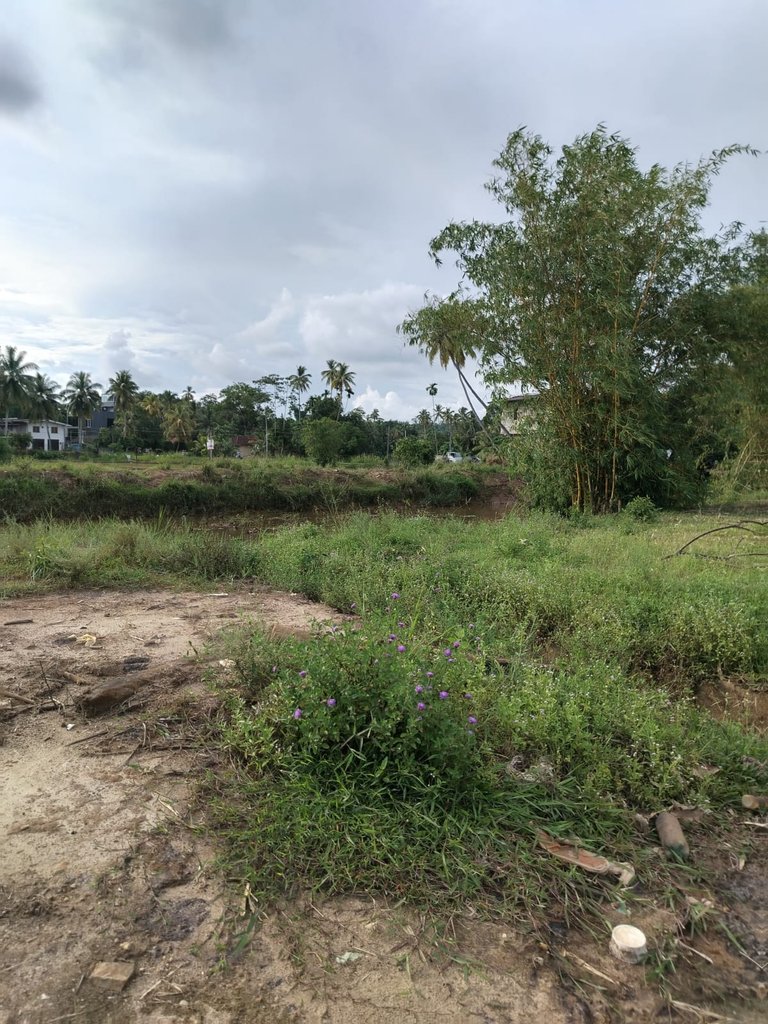 WhatsApp Image 2025-11-22 at 22.57.38 (1).jpeg