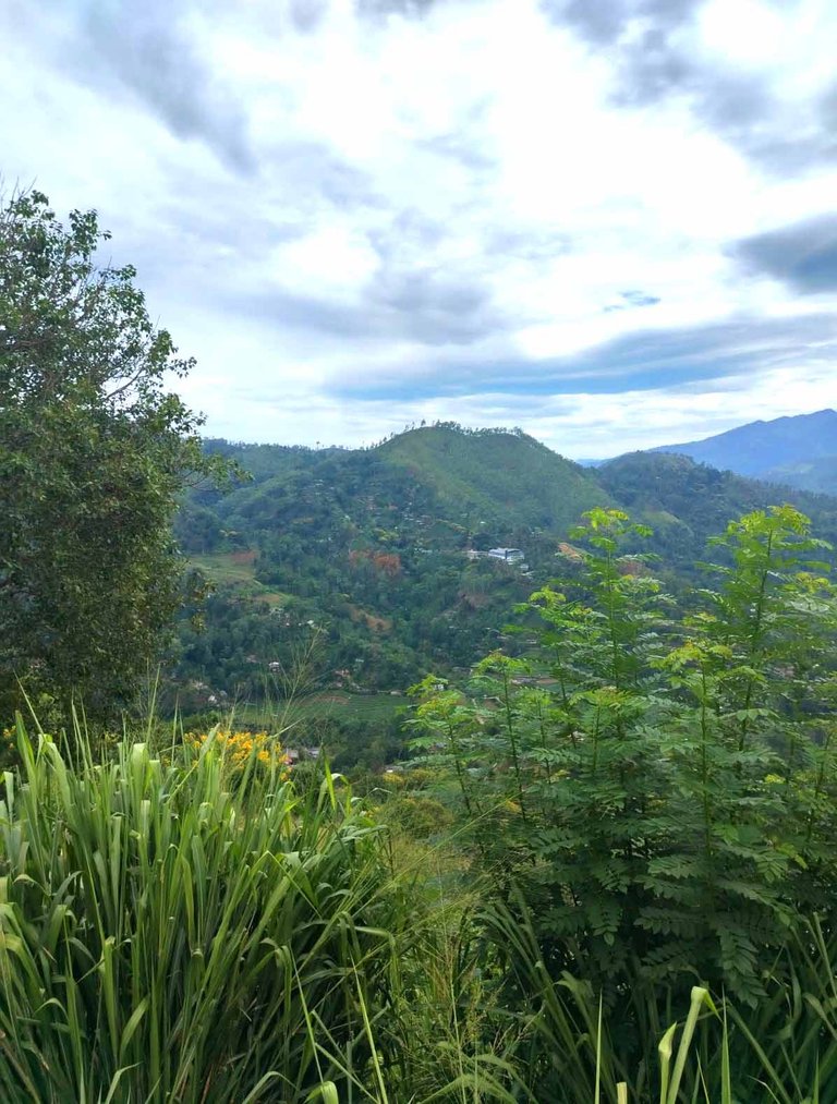 WhatsApp Image 2025-10-01 at 10.31.32.jpeg