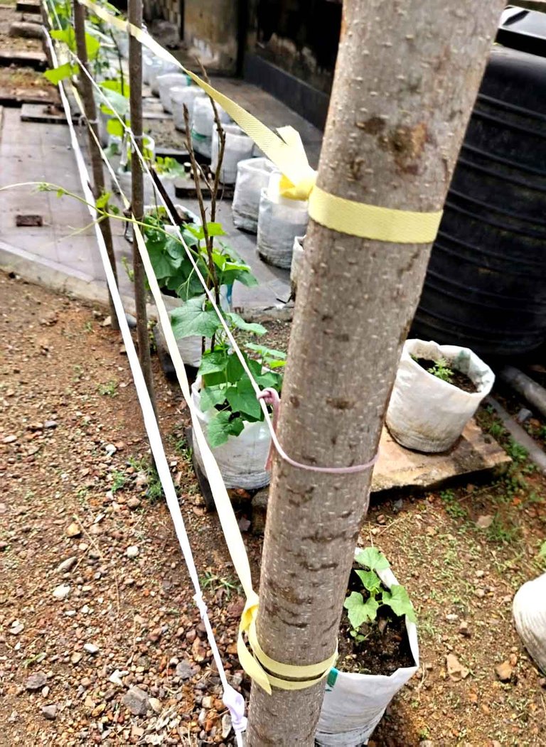 WhatsApp Image 2025-12-12 at 12.51.47.jpeg