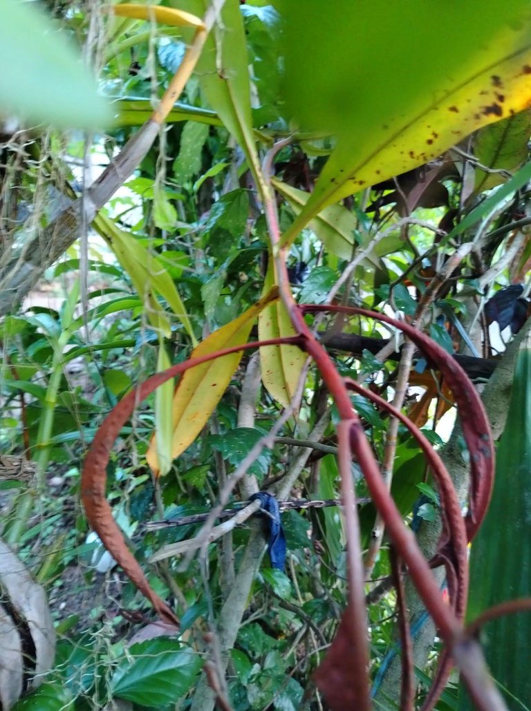 WhatsApp Image 2025-12-15 at 14.07.04 (1).jpeg