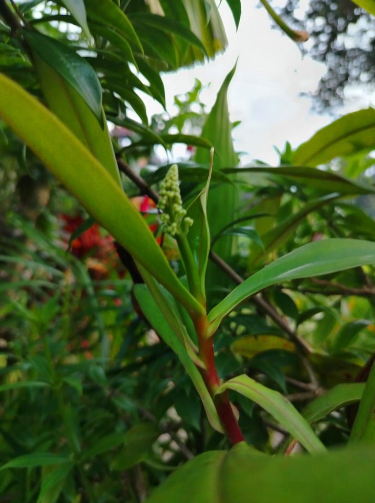 WhatsApp Image 2025-12-15 at 14.07.04.jpeg