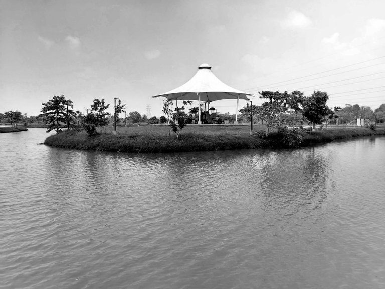 IMG_20241107_120745.jpg