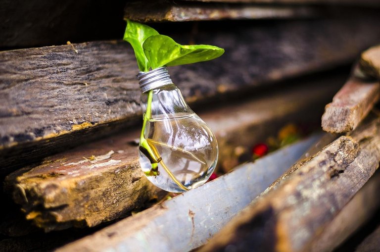 bulb-2587637_1280.jpg