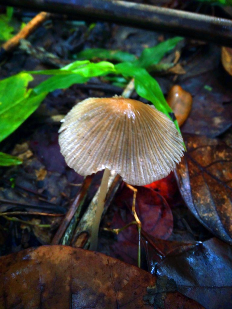 20221004_064244.jpg