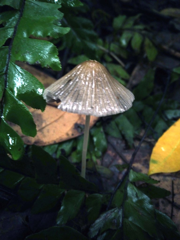 20221004_064039.jpg