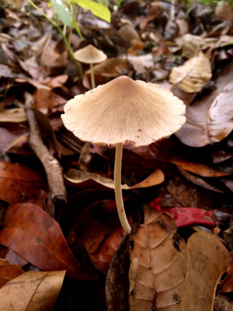 20221004_063654.jpg