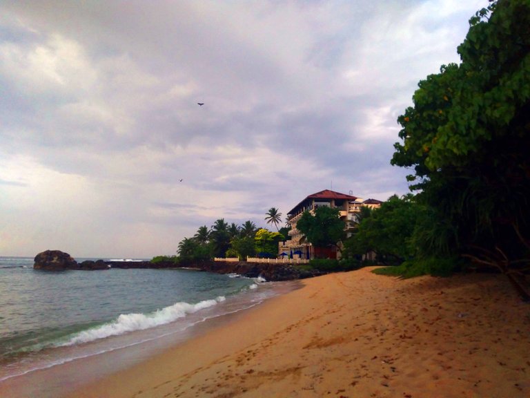 20230107_165146.jpg