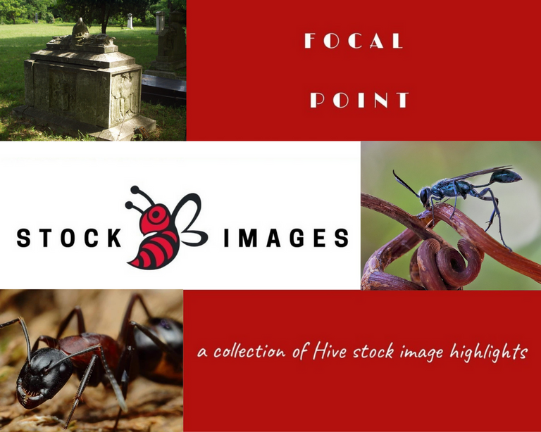 StockImages4.png