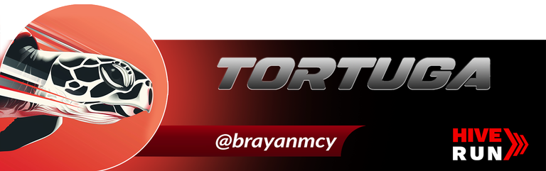 TORTUGA BRAYAN.png