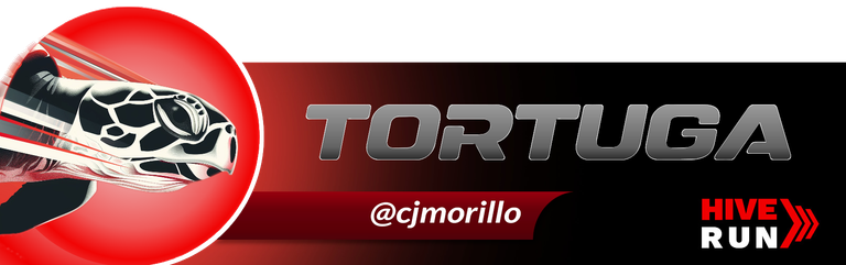 Tortuga morillo.png