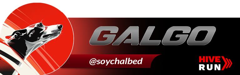 GALGO- chalbed.png