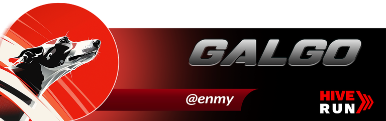 GALGO ENMY.png