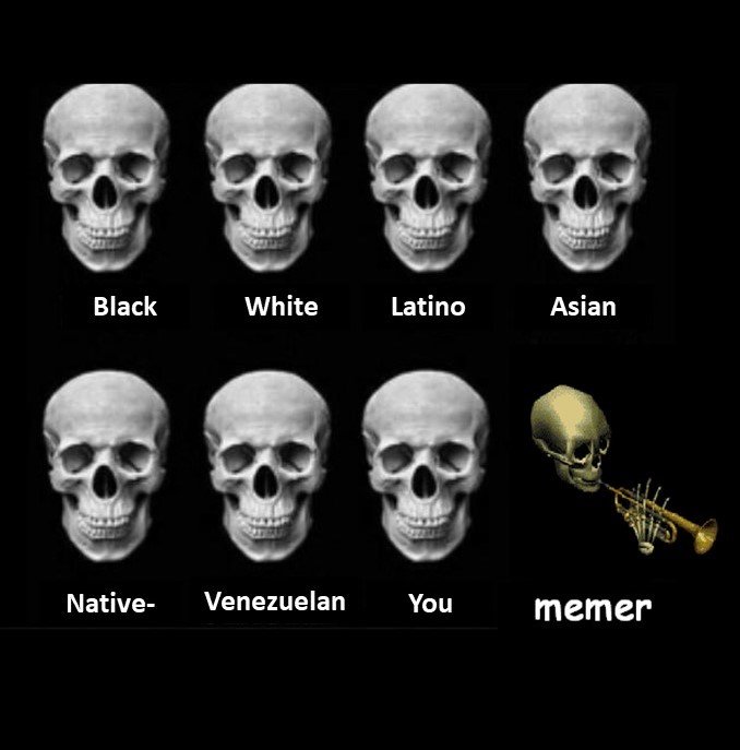 skull meme 3.jpg