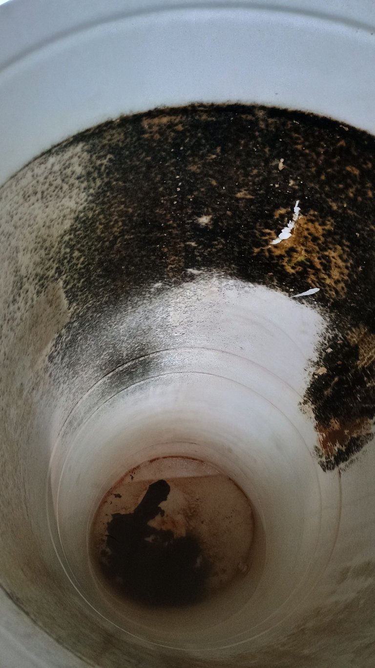 1000331904.jpg