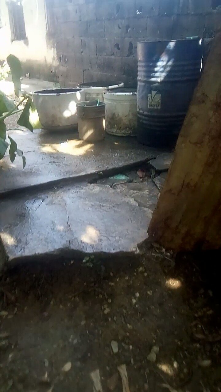 IMG-20221102-WA0024.jpg