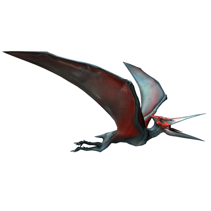 pteranodon-6286029_960_720.png