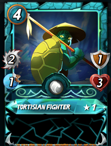 Tortisian Fighter.png