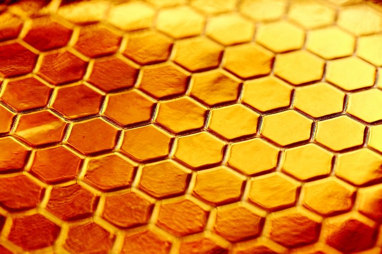 hive.jpg