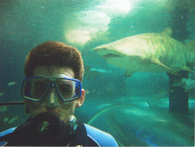 UWW Shark Dive 2004 Chris.jpg