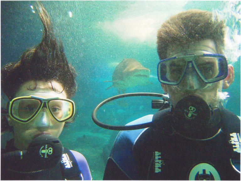 UWW Shark Dive 2004 Jayne and Chris.jpg