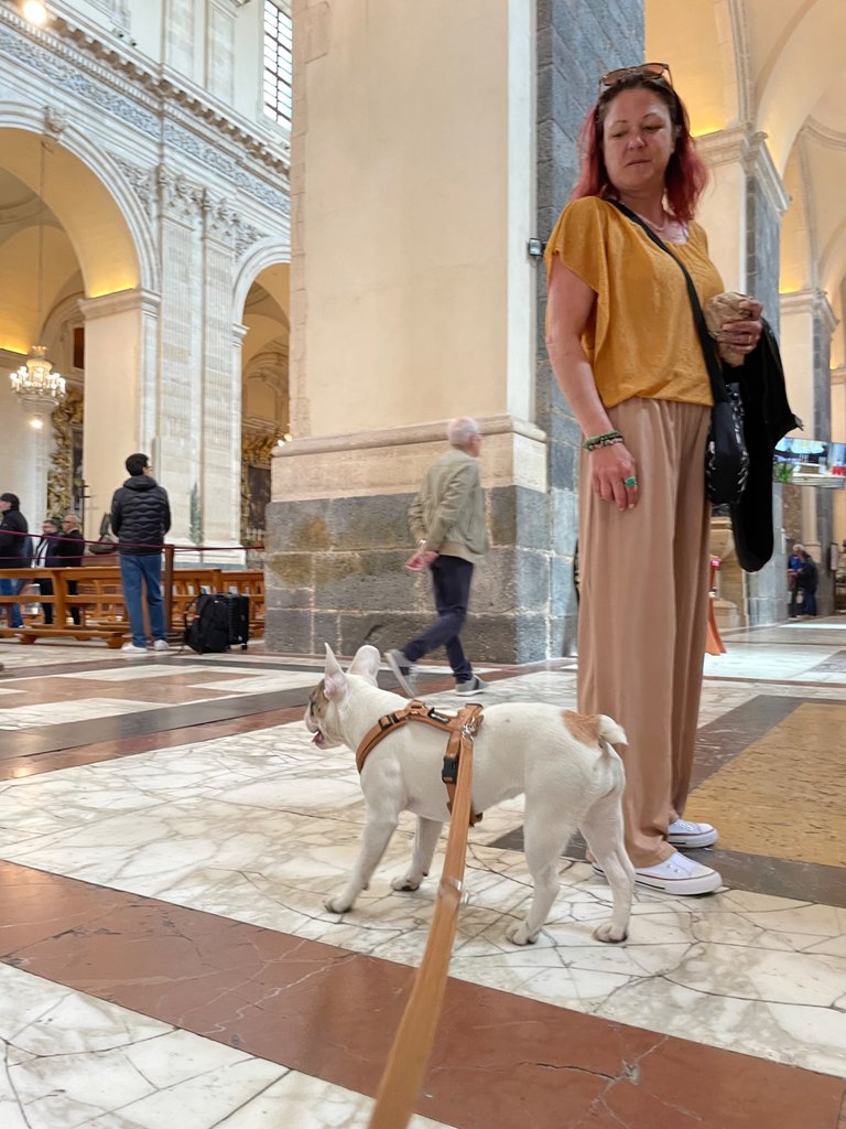 IMG_3085.jpeg