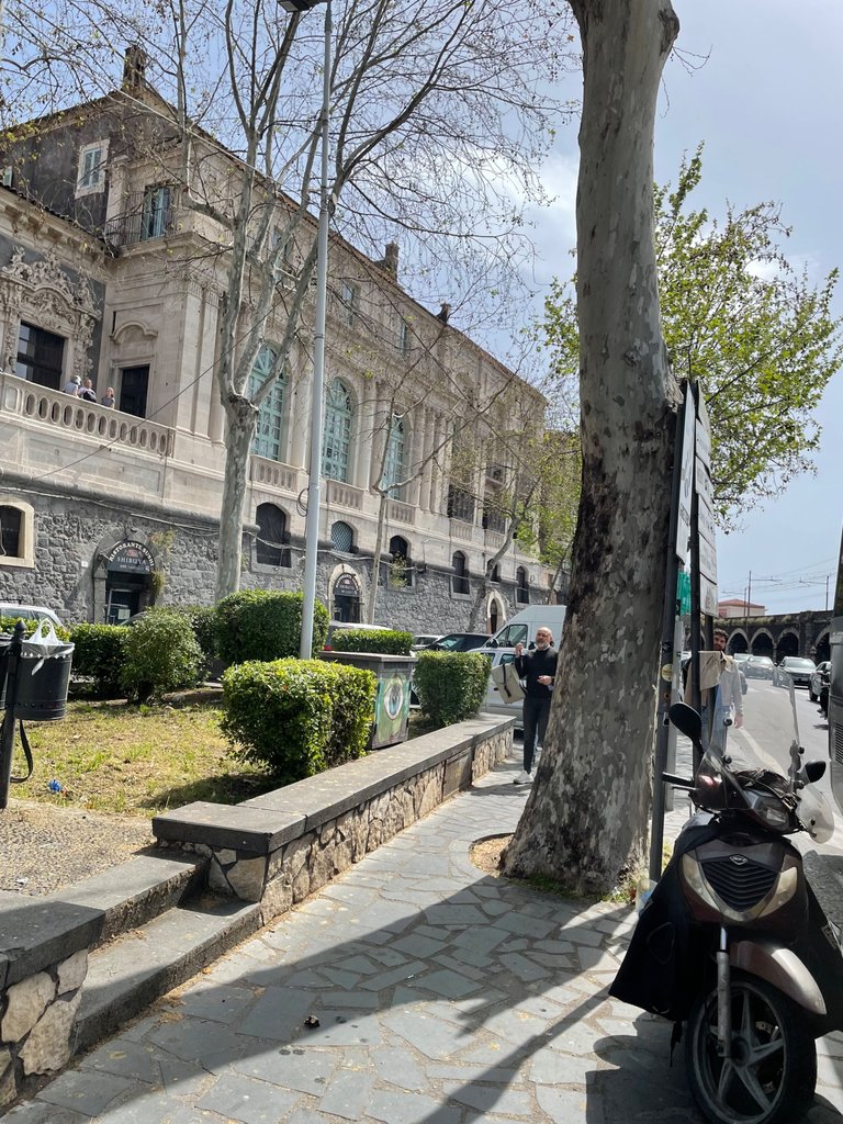IMG_3091.jpeg