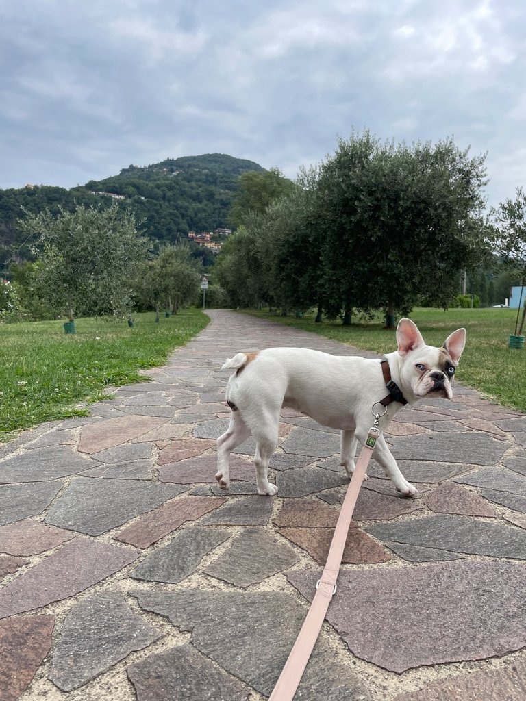 IMG_3824.jpeg