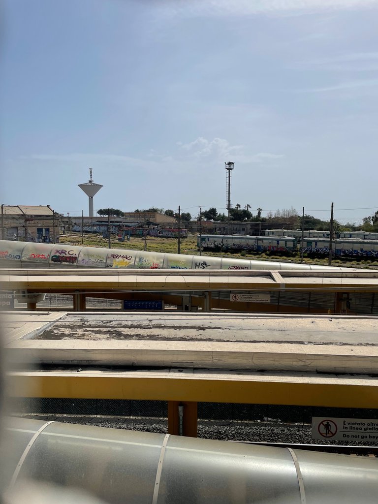 IMG_3105.jpeg