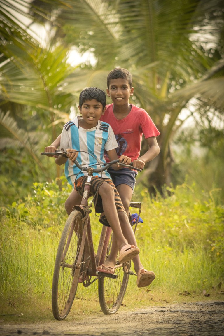 pexels-gokul-mohan-12773355.jpg