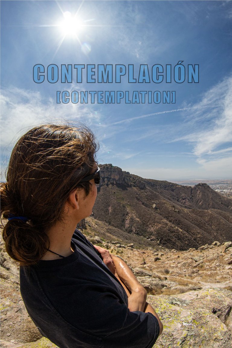 Contemplacion-portada.jpg