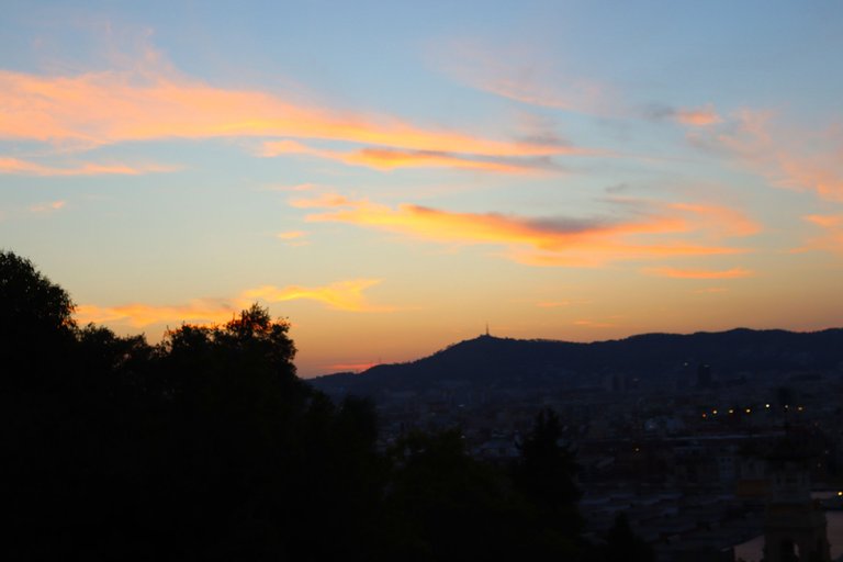 6195.JPG