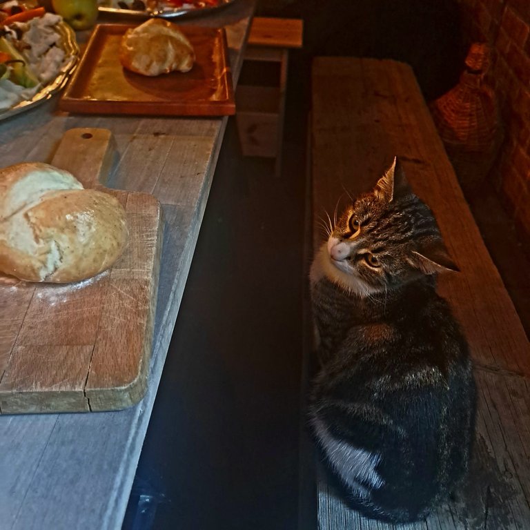 WhatsApp Image 2025-11-06 at 11.02.01.jpeg