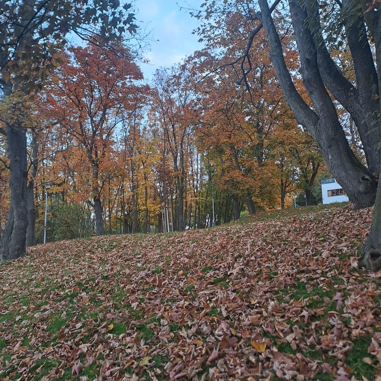 WhatsApp Image 2025-10-21 at 10.47.12.jpeg