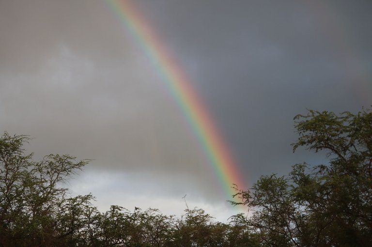 makena-rainbow-2021-10-21 at 8.45.18 PM.png