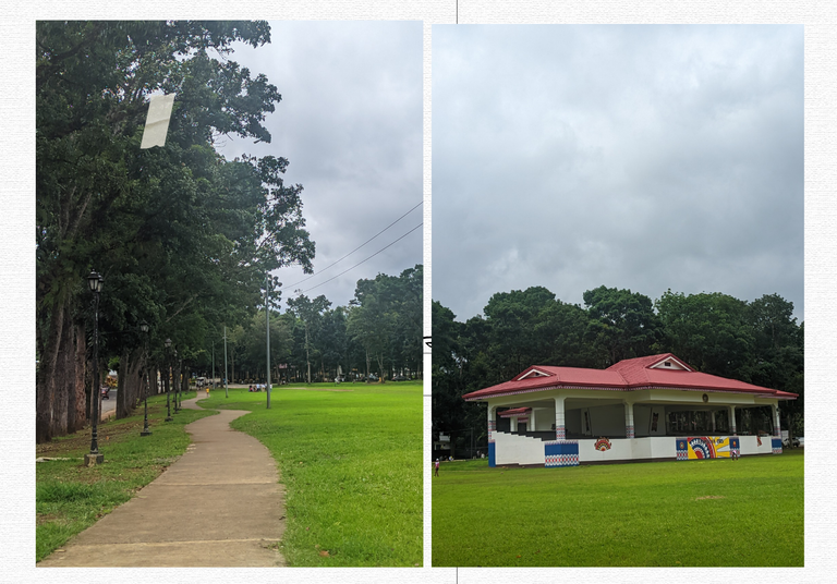 15 Minutes to Peace: My Weekly Walk Near Home