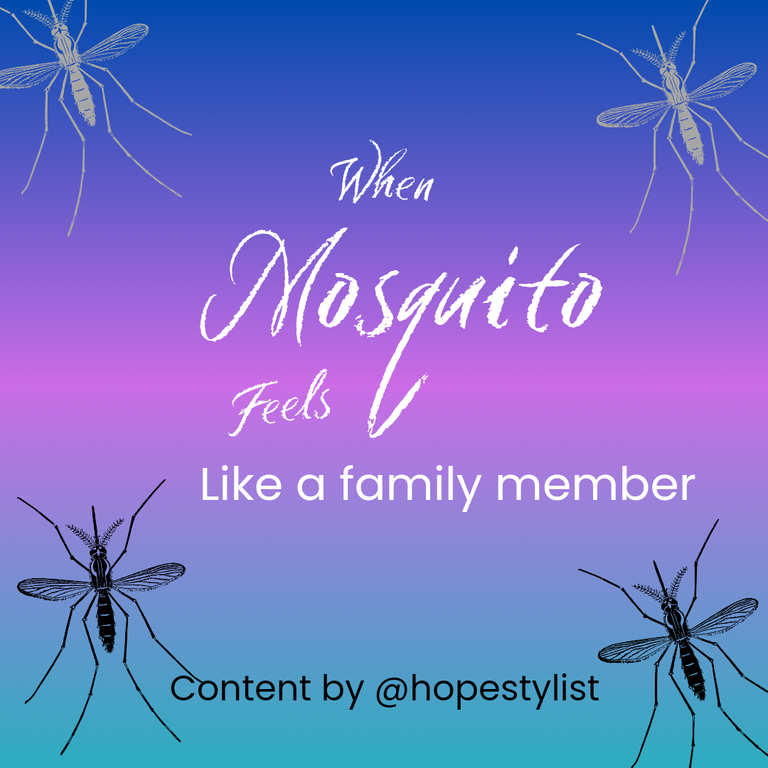 When Mosquito Feels Like A Family Member 