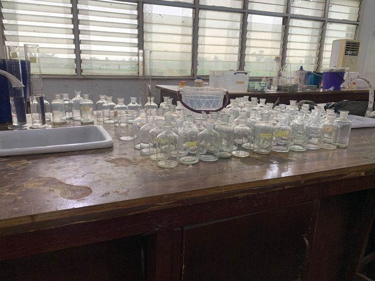 THROUGH SCIENCE’S LENS