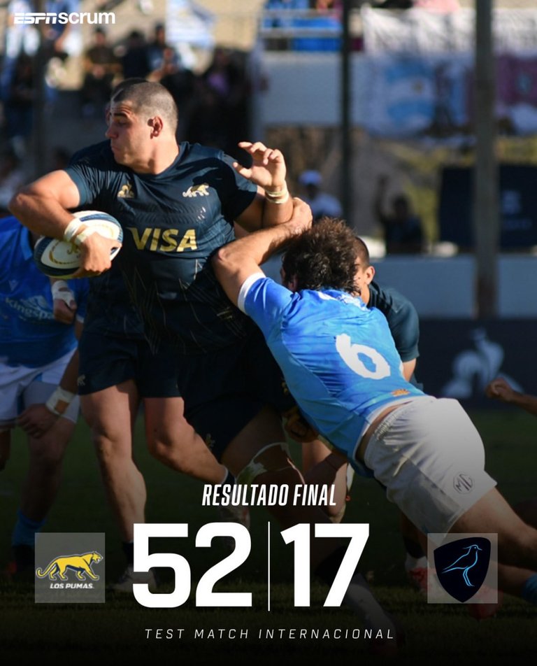 pumas3.jpeg